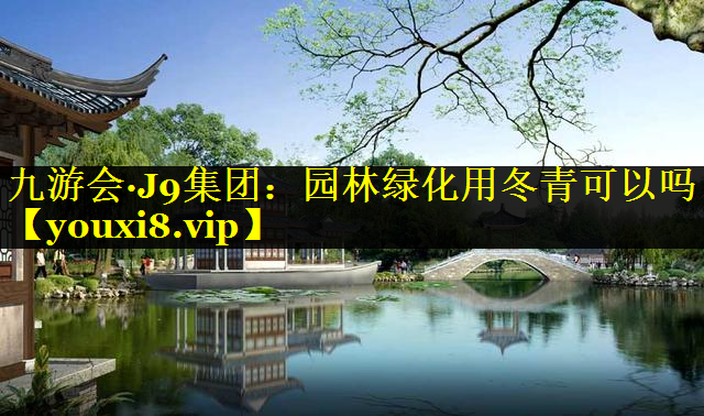 园林绿化用冬青可以吗