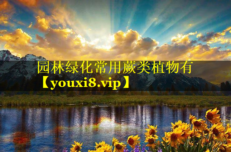 园林绿化常用蕨类植物有