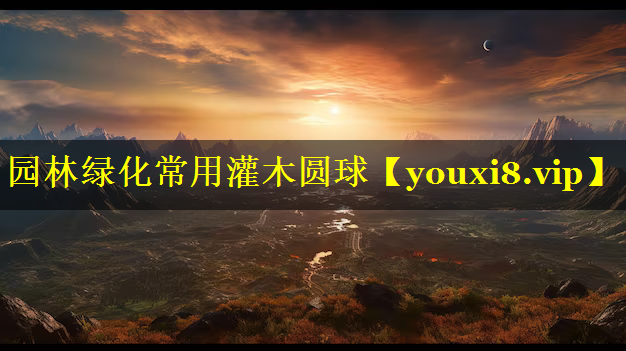 园林绿化常用灌木圆球