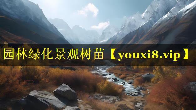 园林绿化景观树苗