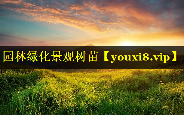 园林绿化景观树苗