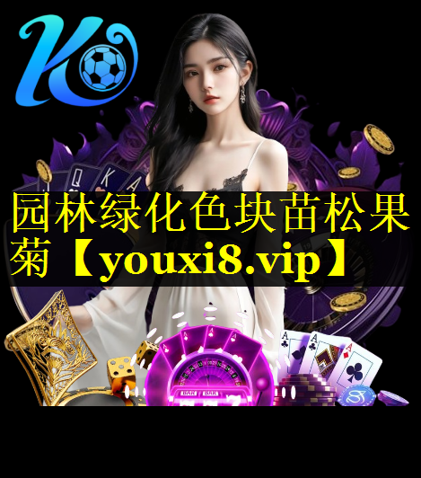 园林绿化色块苗松果菊