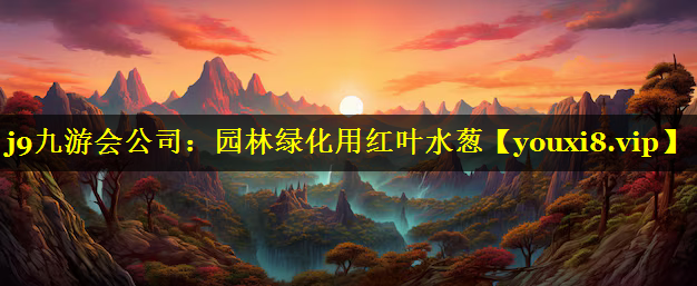园林绿化用红叶水葱