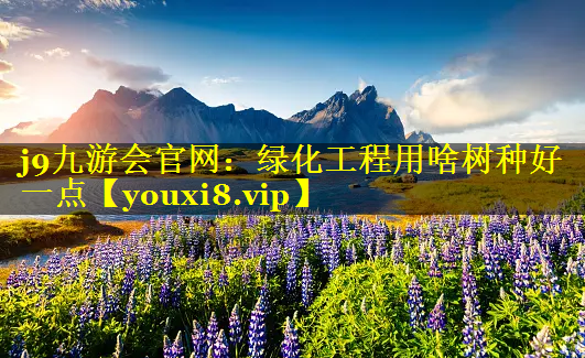 绿化工程用啥树种好一点