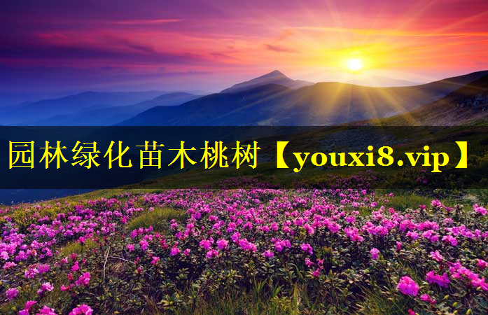 园林绿化苗木桃树