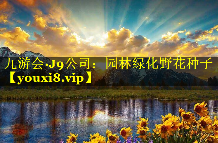 园林绿化野花种子