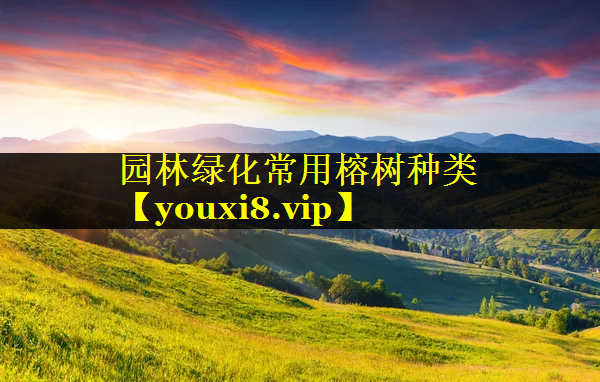 园林绿化常用榕树种类
