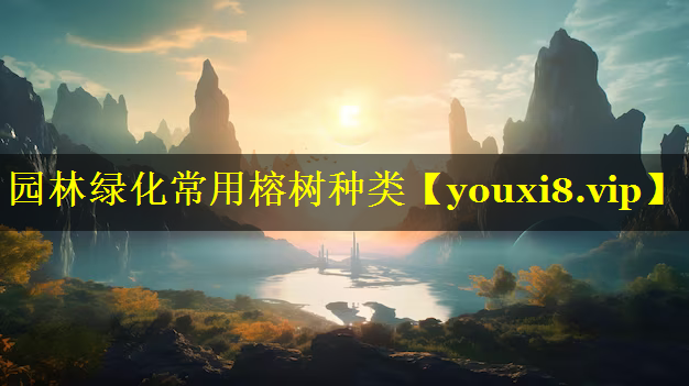 园林绿化常用榕树种类