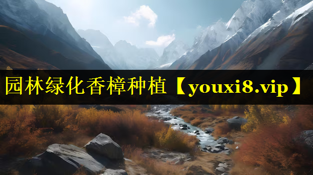 园林绿化香樟种植