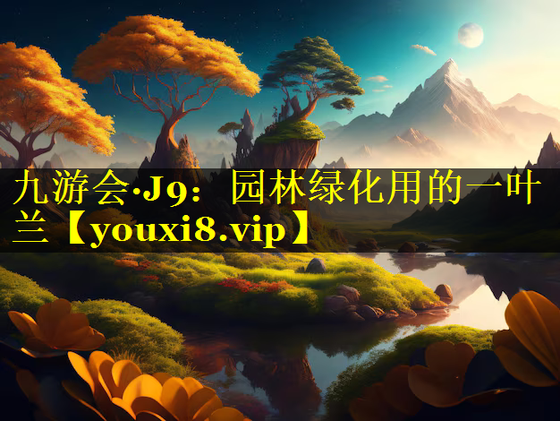 园林绿化用的一叶兰