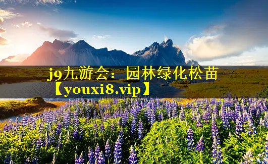 园林绿化松苗