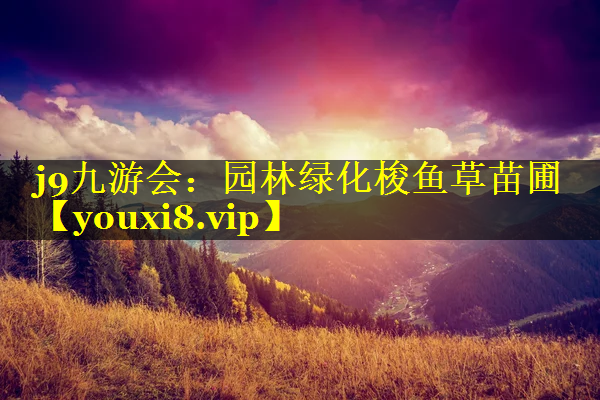 园林绿化梭鱼草苗圃