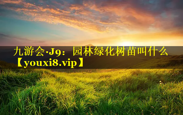 园林绿化树苗叫什么