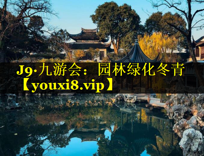 园林绿化冬青