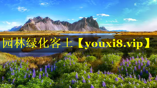 园林绿化客土