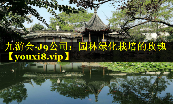 园林绿化栽培的玫瑰