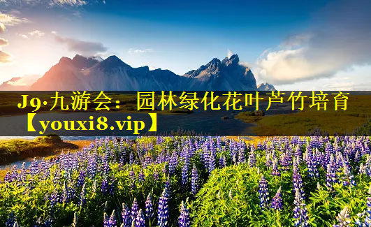 园林绿化花叶芦竹培育