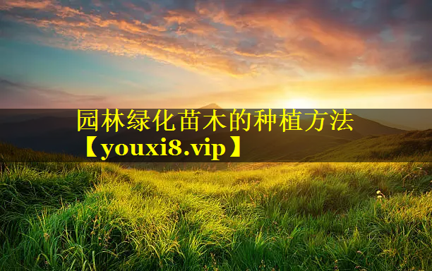 园林绿化苗木的种植方法