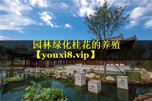 园林绿化桂花的养殖