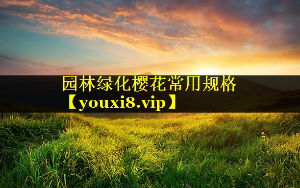 园林绿化樱花常用规格
