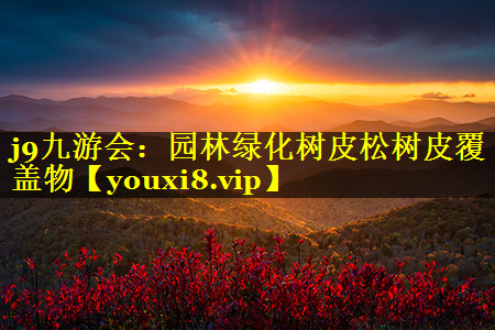 园林绿化树皮松树皮覆盖物