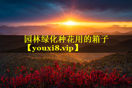 园林绿化种花用的箱子