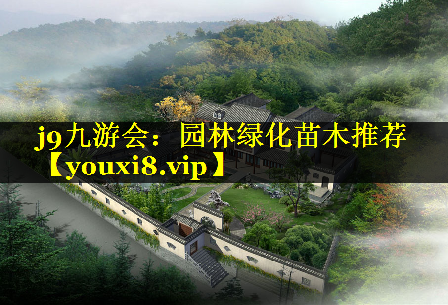 园林绿化苗木推荐
