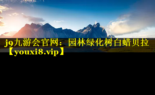 园林绿化树白蜡贝拉