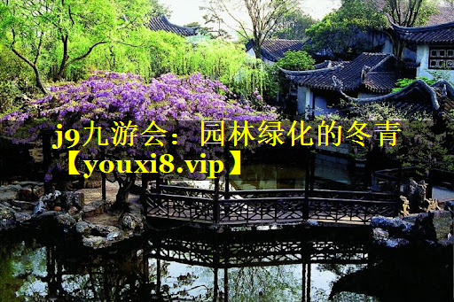 园林绿化的冬青