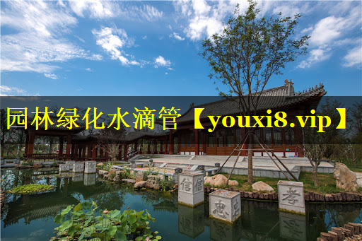 园林绿化水滴管