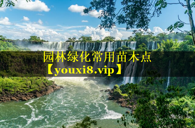 园林绿化常用苗木点