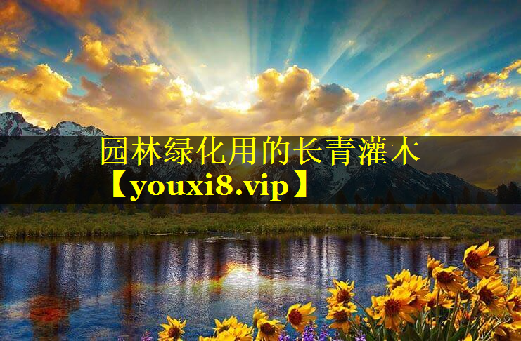 园林绿化用的长青灌木