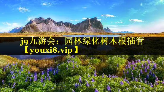 园林绿化树木根插管