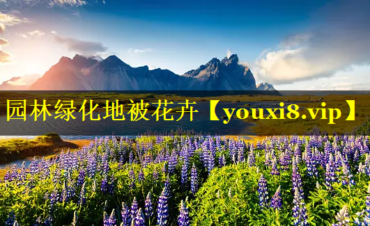 园林绿化地被花卉