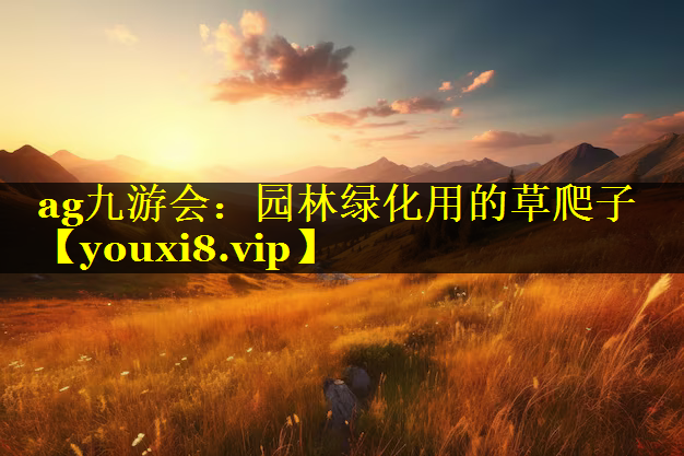 园林绿化用的草爬子