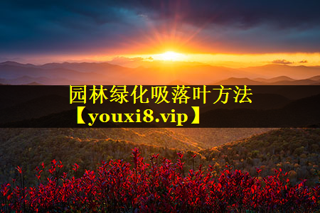 园林绿化吸落叶方法