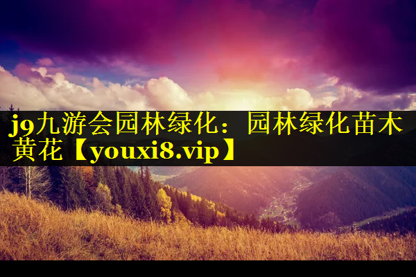 园林绿化苗木黄花