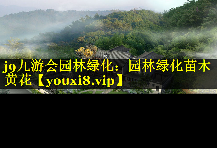 园林绿化苗木黄花