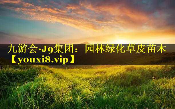 园林绿化草皮苗木