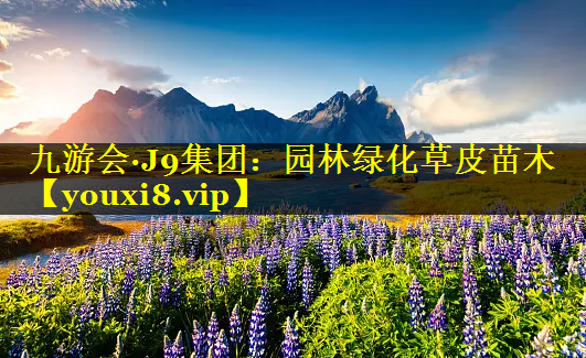 园林绿化草皮苗木