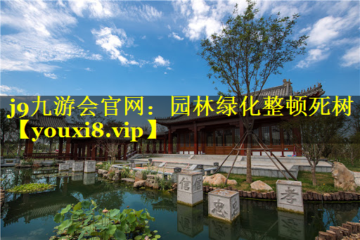 园林绿化整顿死树