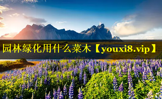 园林绿化用什么菜木
