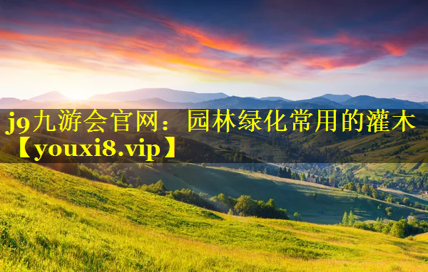 园林绿化常用的灌木