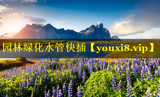 园林绿化水管快插
