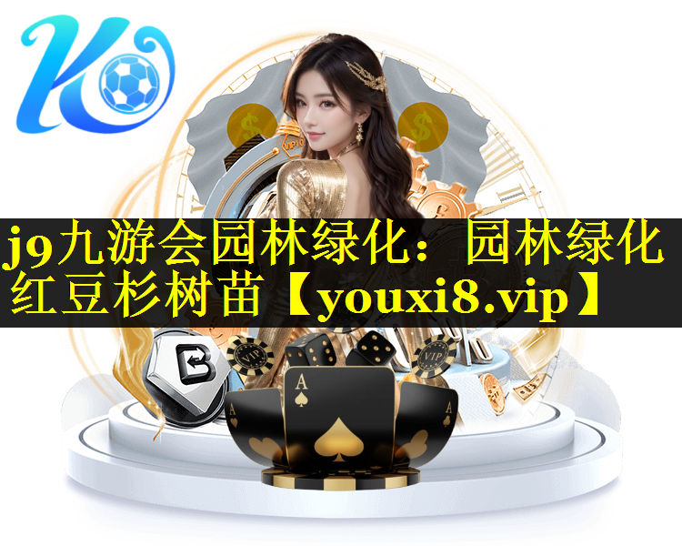 园林绿化红豆杉树苗