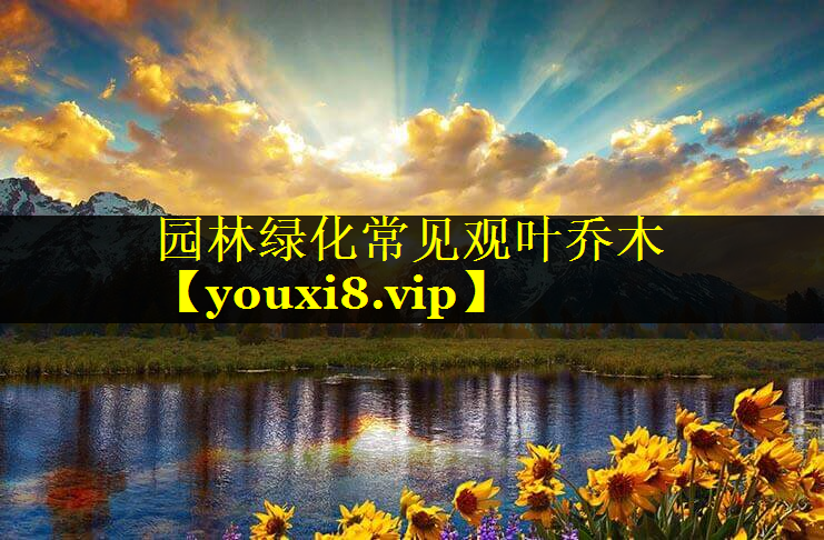 园林绿化常见观叶乔木