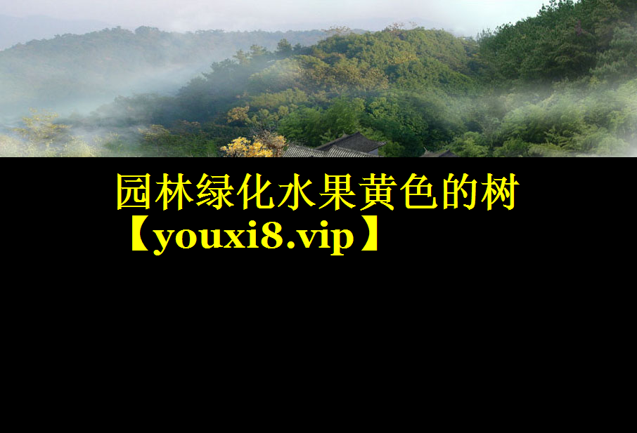 园林绿化水果黄色的树