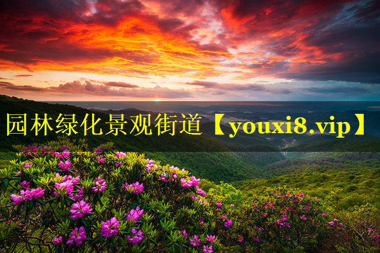 园林绿化景观街道