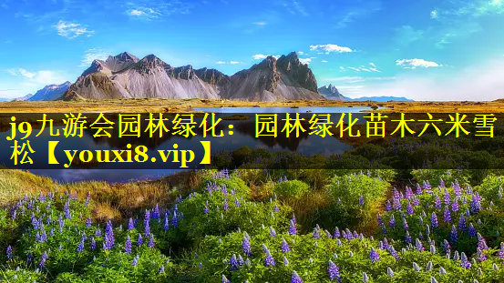 园林绿化苗木六米雪松