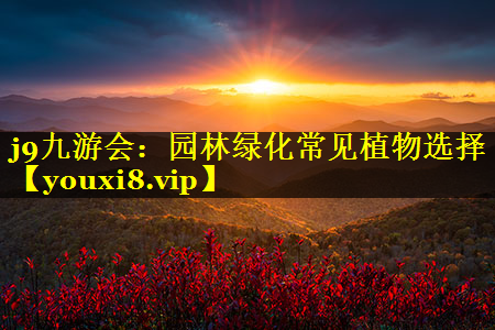 园林绿化常见植物选择